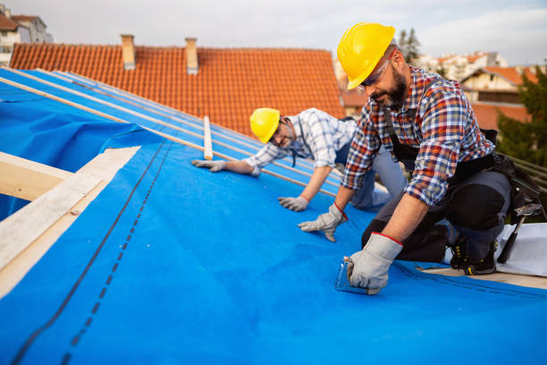 Best Storm Damage Roof Repair  in Park Forest, IL