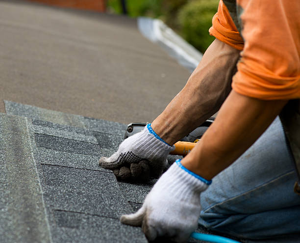 Best Local Roofing Companies  in Park Forest, IL