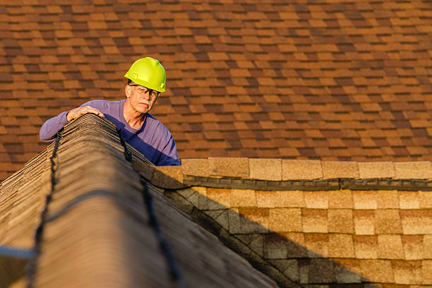 Best New Roof Installation  in Park Forest, IL