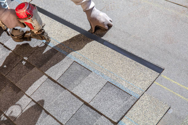 Best Roof Gutter Cleaning  in Park Forest, IL