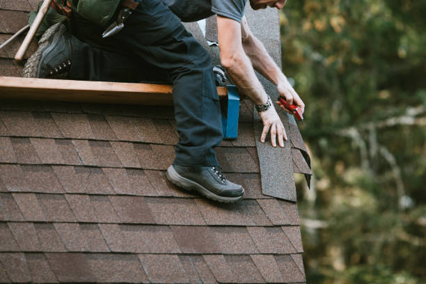 Best Roof Maintenance Services  in Park Forest, IL